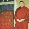 Cave in the Snow 【Sample】