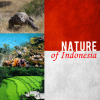 Nature of Indonesia