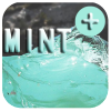 Mint +