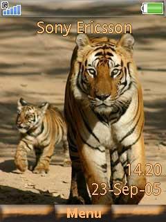 Tigers