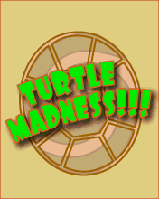 Turtle Madness!!!