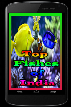 Top Fishes of India