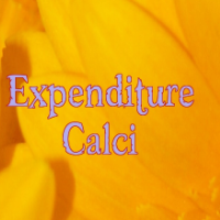 TotalExpenditure