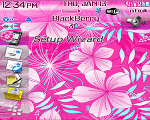 8100 Blackberry ZEN Theme: Tropical Splash