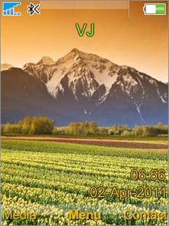 Tulip Field