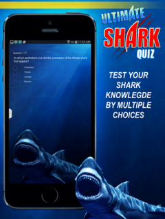 Ultimate Shark Quiz