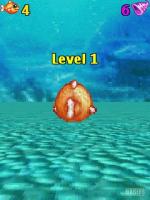 Underwater 3D