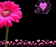 Valentine Bliss (pink)