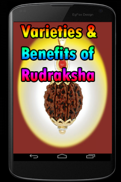 Varieties and Benefits of Rudraksha