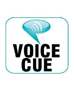 Privus Voice Cue for Windows 6 w/Touchscreen - 30 days of service