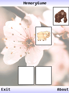 VVS Memory Game