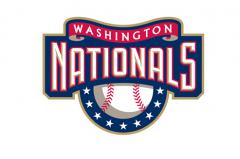 Washington Nationals Fan
