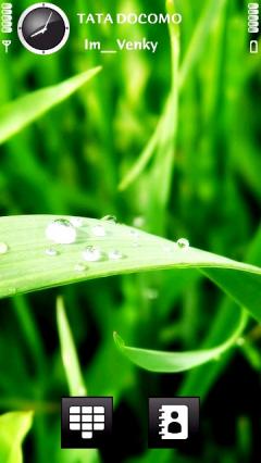 Wet Green Grass