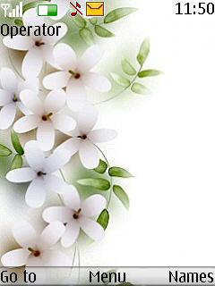 White Flowers
