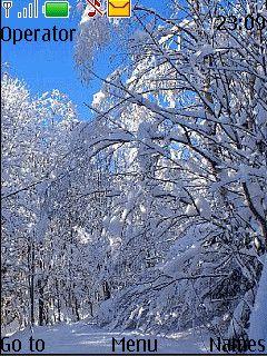 Winter In Forest