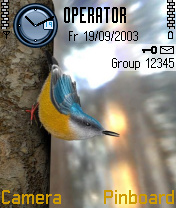 Yellow Bird