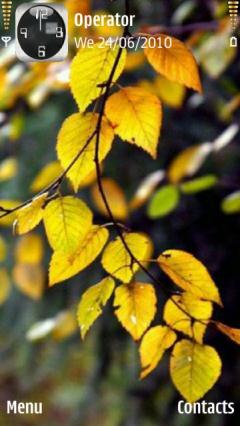 Yellow Leaves