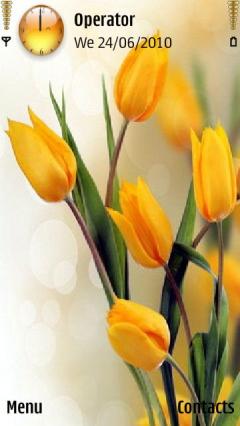 Yellow Tulip